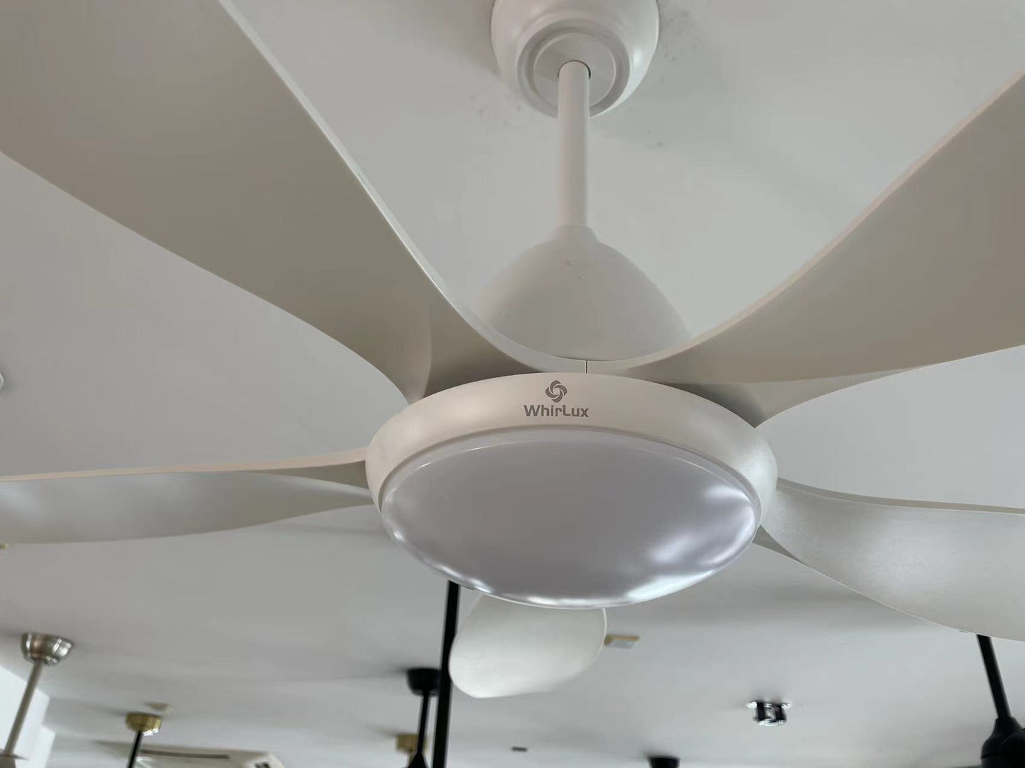 WhirLux Ceiling Fans with Lights and Remote, 52 Inch Outdoor Ceiling Fan