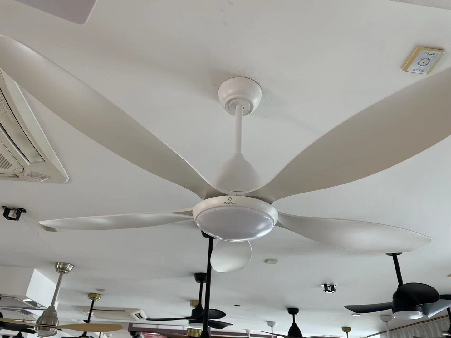 WhirLux Ceiling Fans with Lights and Remote, 52 Inch Outdoor Ceiling Fan