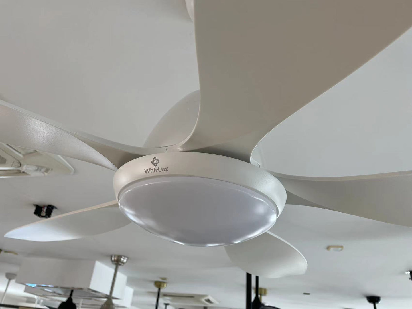 WhirLux Ceiling Fans with Lights and Remote, 52 Inch Outdoor Ceiling Fan