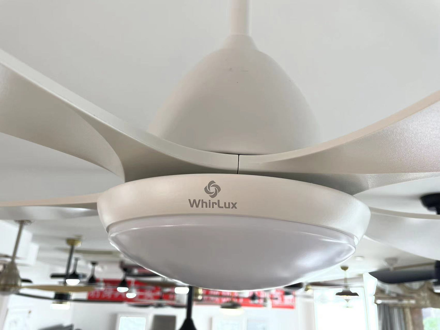 WhirLux Ceiling Fans with Lights and Remote, 52 Inch Outdoor Ceiling Fan